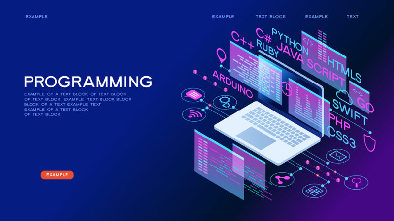 programadores web