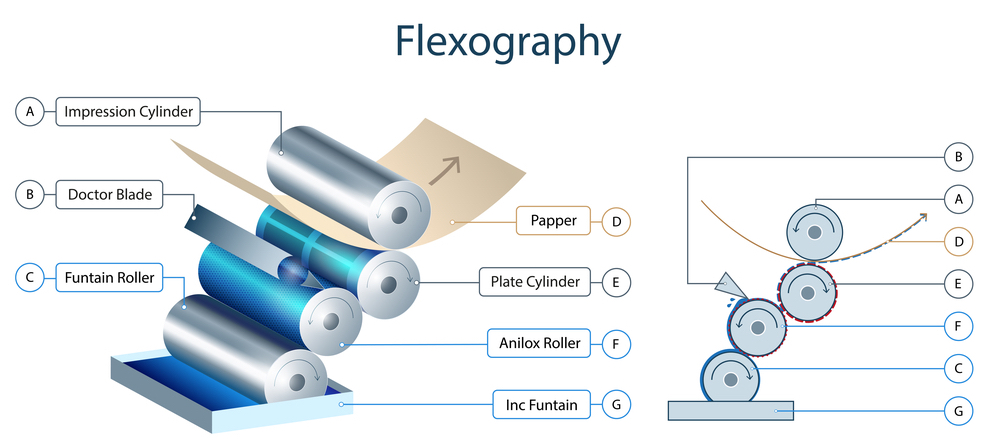 ¿Qué es la flexografía? Descubre sus características y ventajas