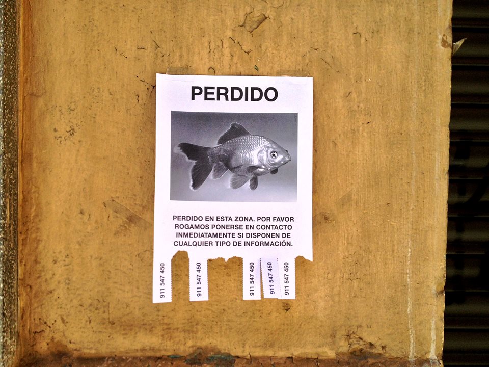 Cartel de teatro Perdido