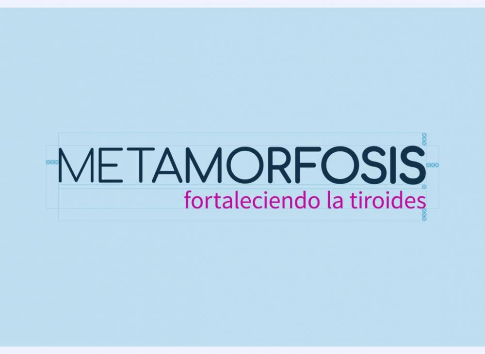 metamorfosis_imagenes_web_02_logo_construction.jpg