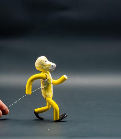 stop motion