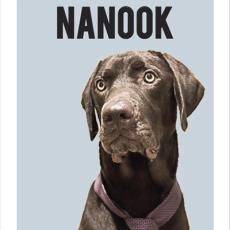 portada_nanook.jpg