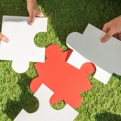Cobranding: qué es, tipos y ejemplos