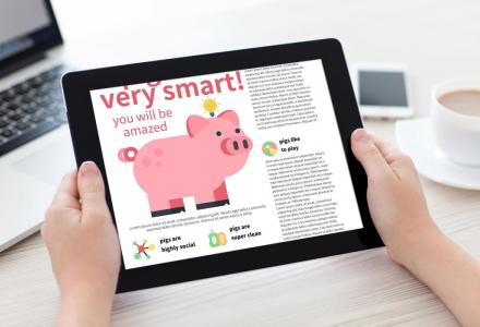 diseno_editorial_-_leafhappy_mockup1.jpg