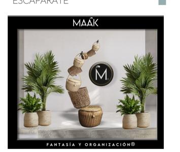 MÀAK: Fantasía y Organización