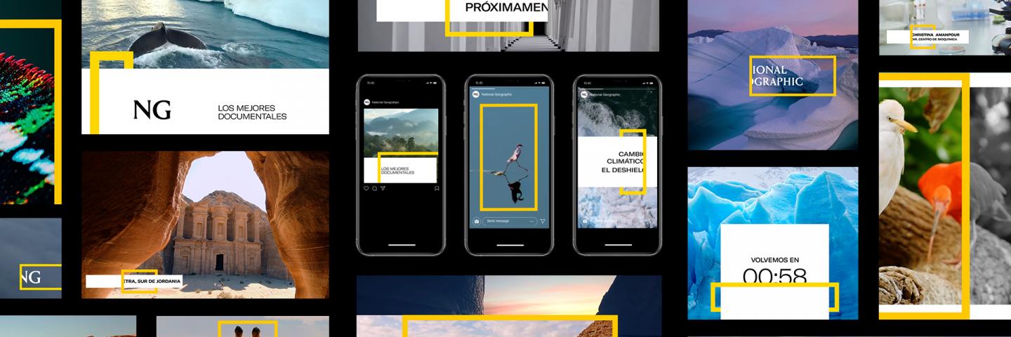 Máster Online en Motion Design Máster Online en Motion Design