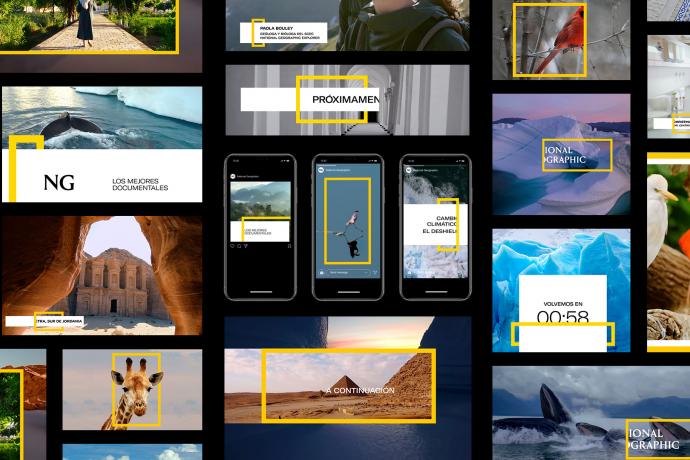 Máster en Motion Design