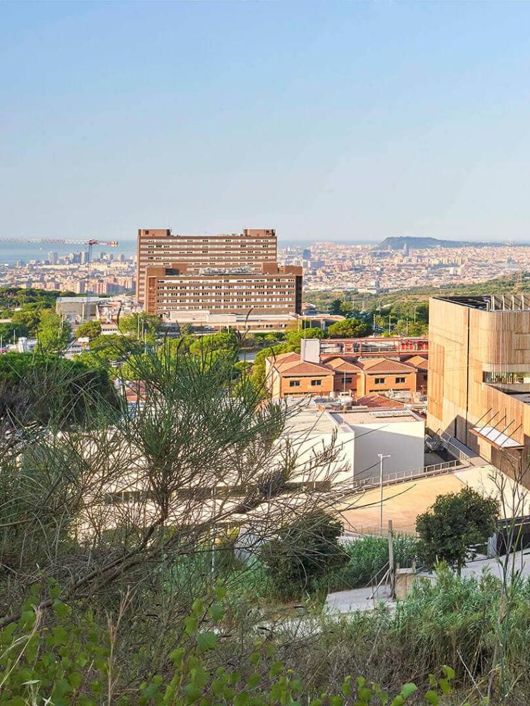 Máster-paisajismo-centro_medicina_lluis_corbella_0