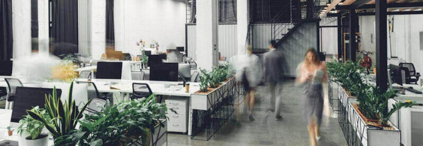 El diseño del espacio de trabajo y su relación con la productividad El diseño del espacio de trabajo y su relación con la productividad