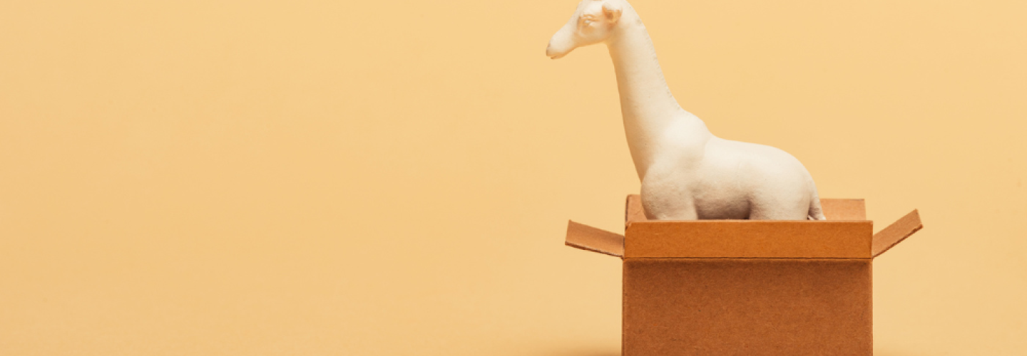 ¿Qué tipos de packaging existen? ¿Qué tipos de packaging existen?