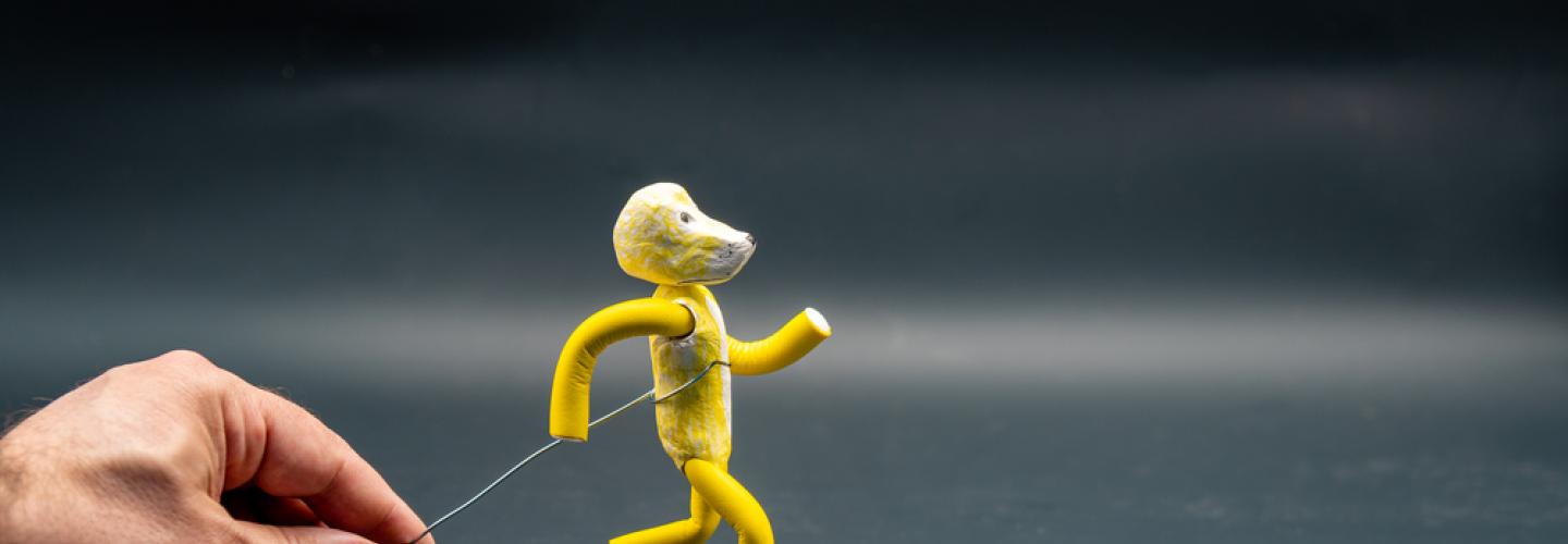 stop motion stop motion