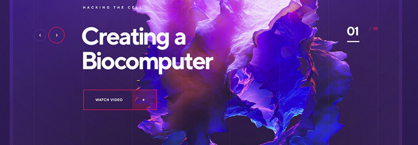 biocomputer.jpg biocomputer.jpg