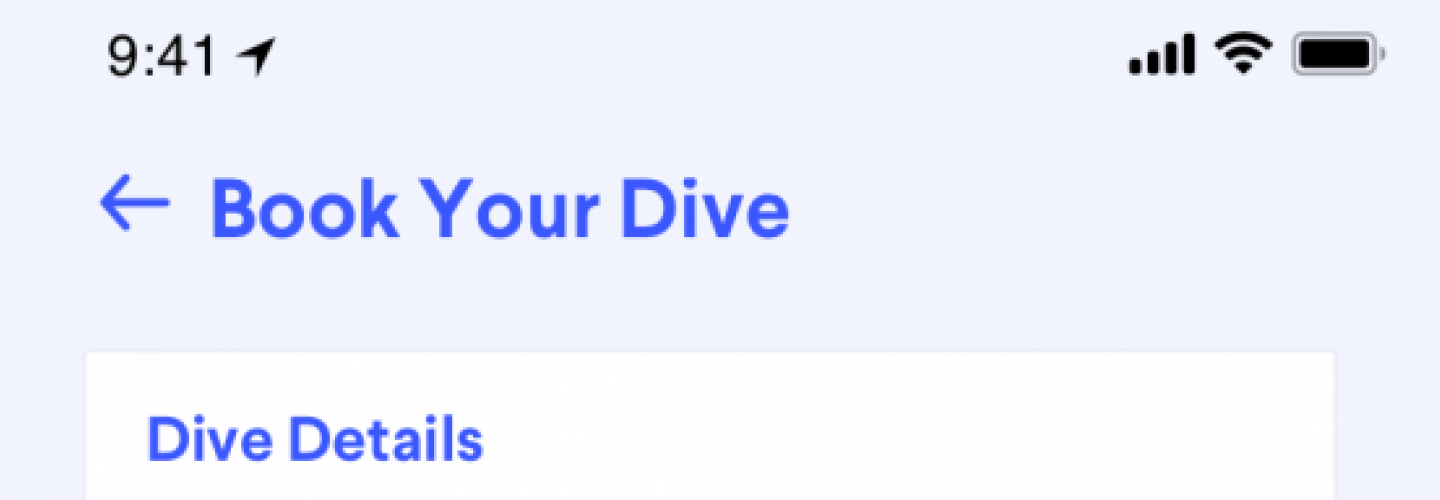 book_your_dive.png book_your_dive.png
