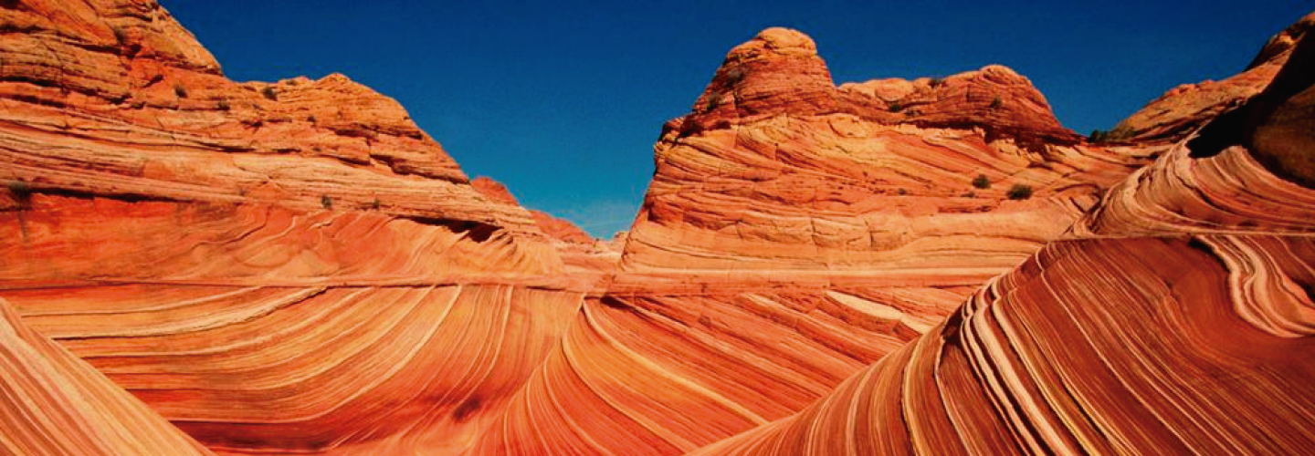 desierto.png desierto.png