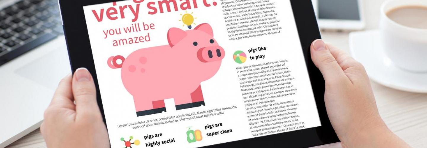 diseno_editorial_-_leafhappy_mockup1.jpg diseno_editorial_-_leafhappy_mockup1.jpg