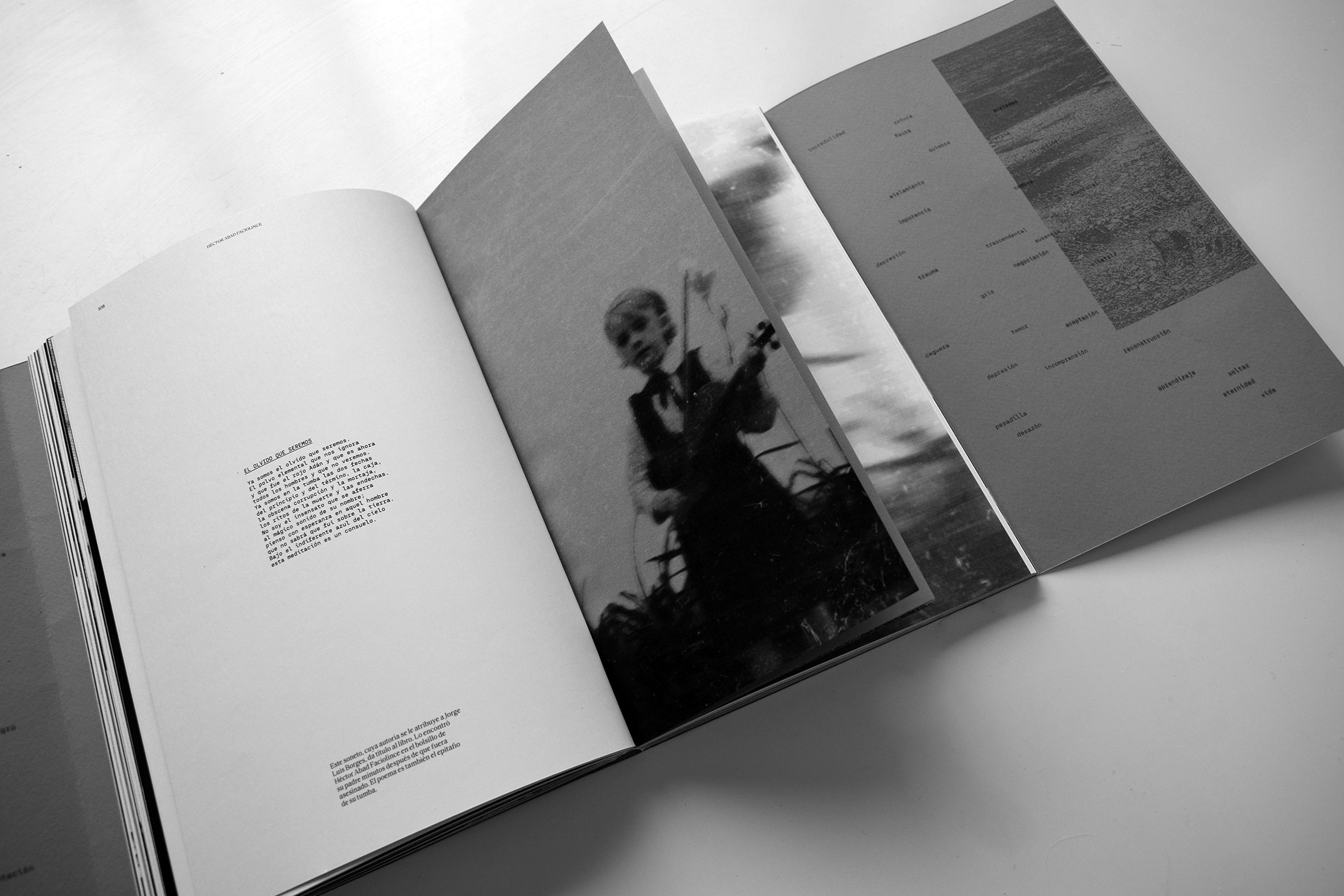 Maestría Internacional en Diseño y Maquetación de Libros