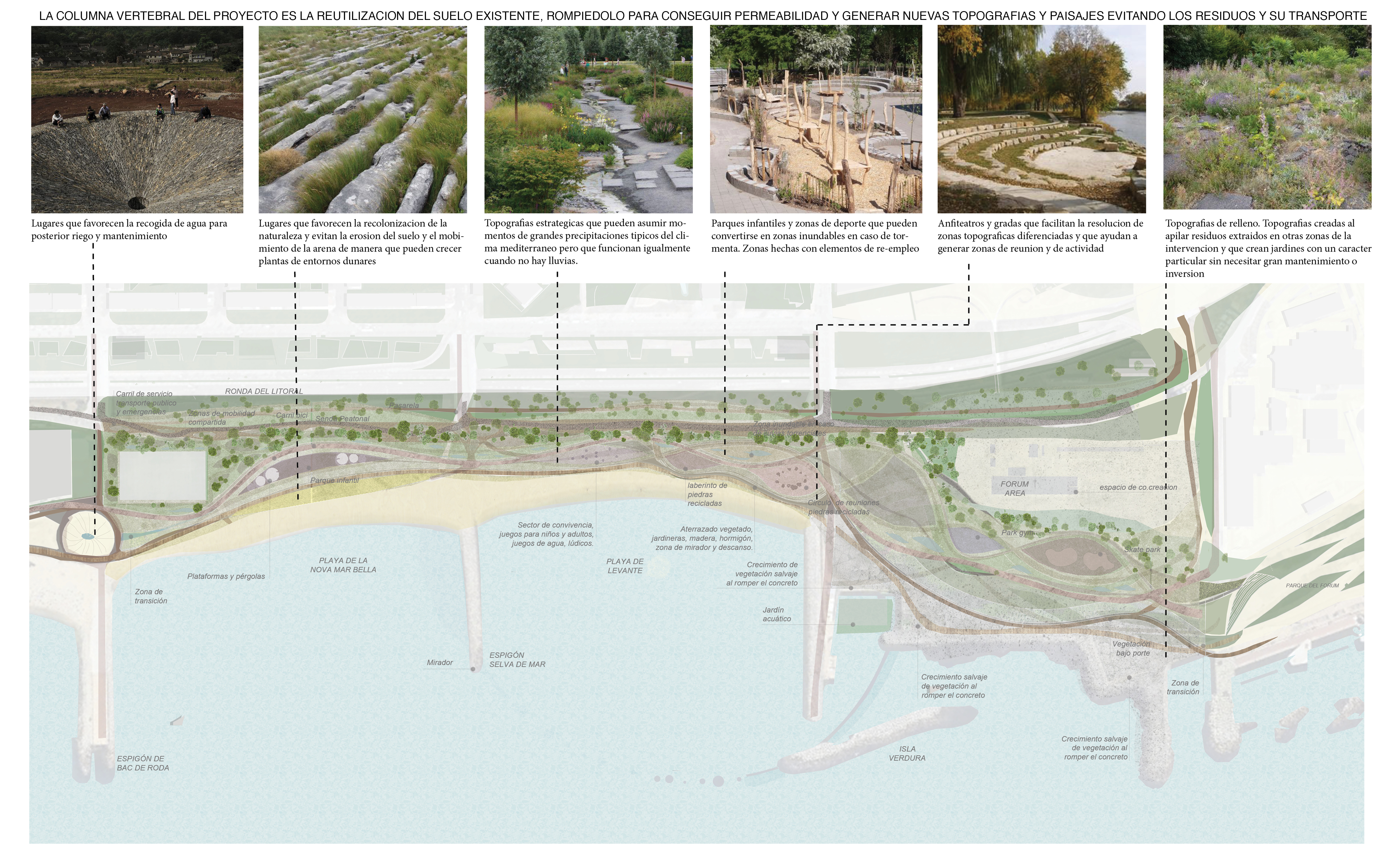 Renaturalización Parque Olas de la Mar Bella