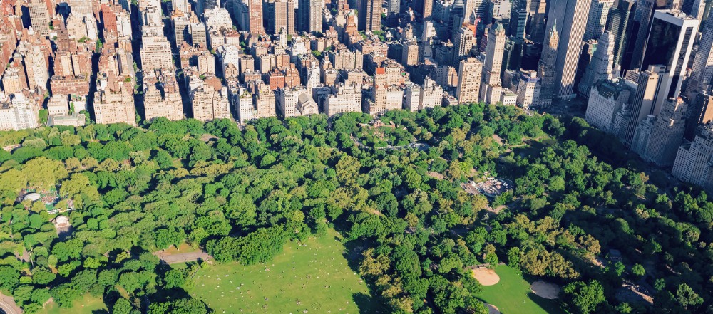 Arquitectura del paisaje: claves del urbanismo y paisajismo