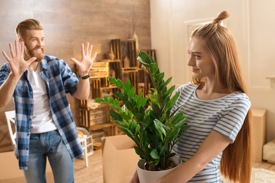 Decoración Ecológica 