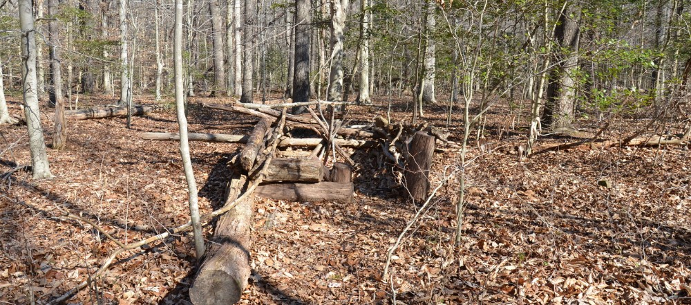 Descubre qué es el diseño circular y cómo aplicarlo en tu empresa