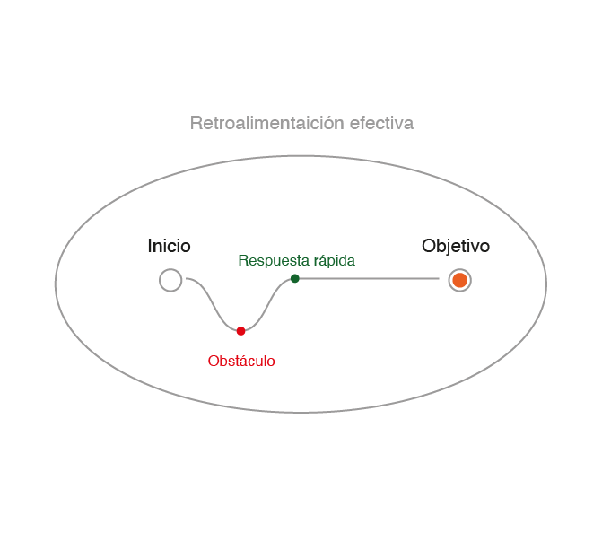 grafico_retroalimentacion