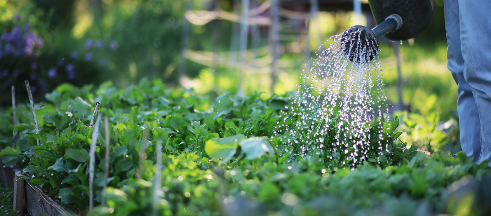 jardinería ecológica - 2 (1).