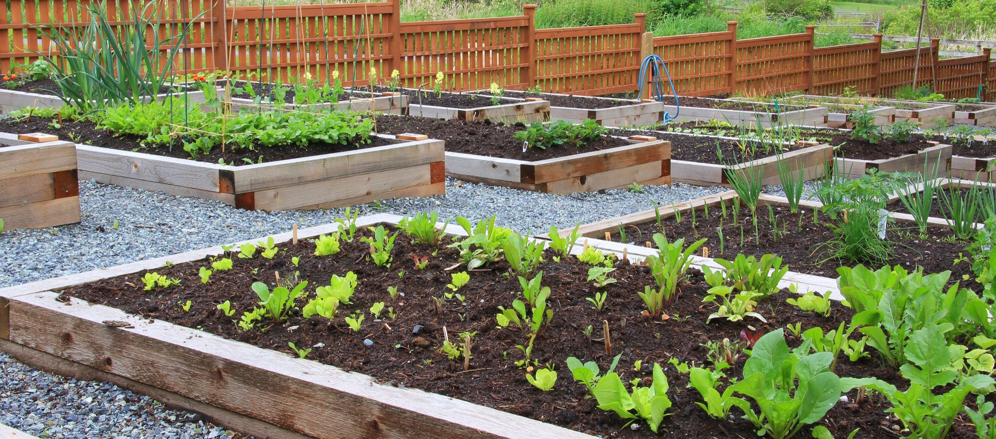 urbanismo tactico urbanismo tactico