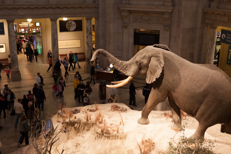 Qué es el diseño de experiencias culturales y que salidas profesionales proporciona