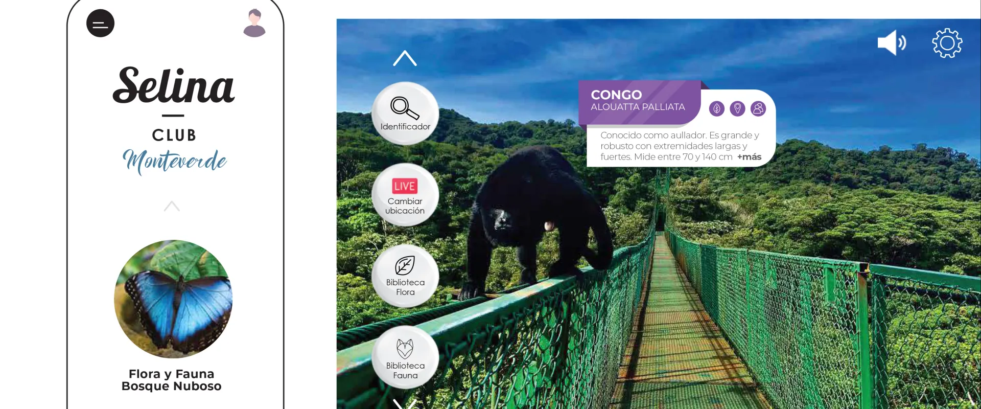 Dejar huella sin dejar rastro