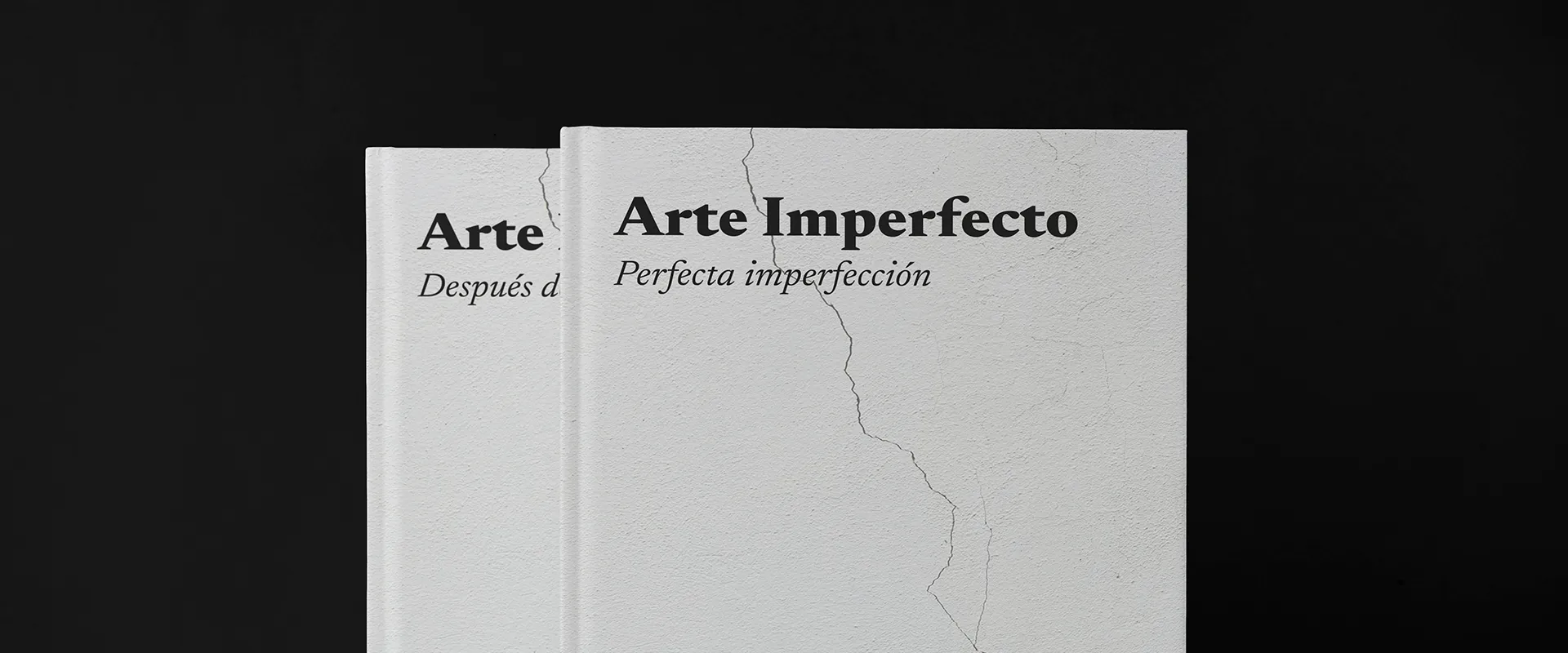 Arte Imperfecto