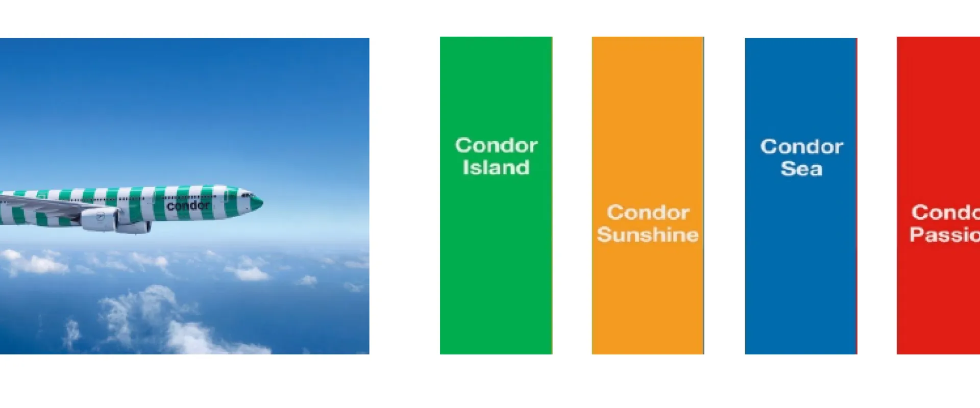 Creación de una Kinetic Identity: condor