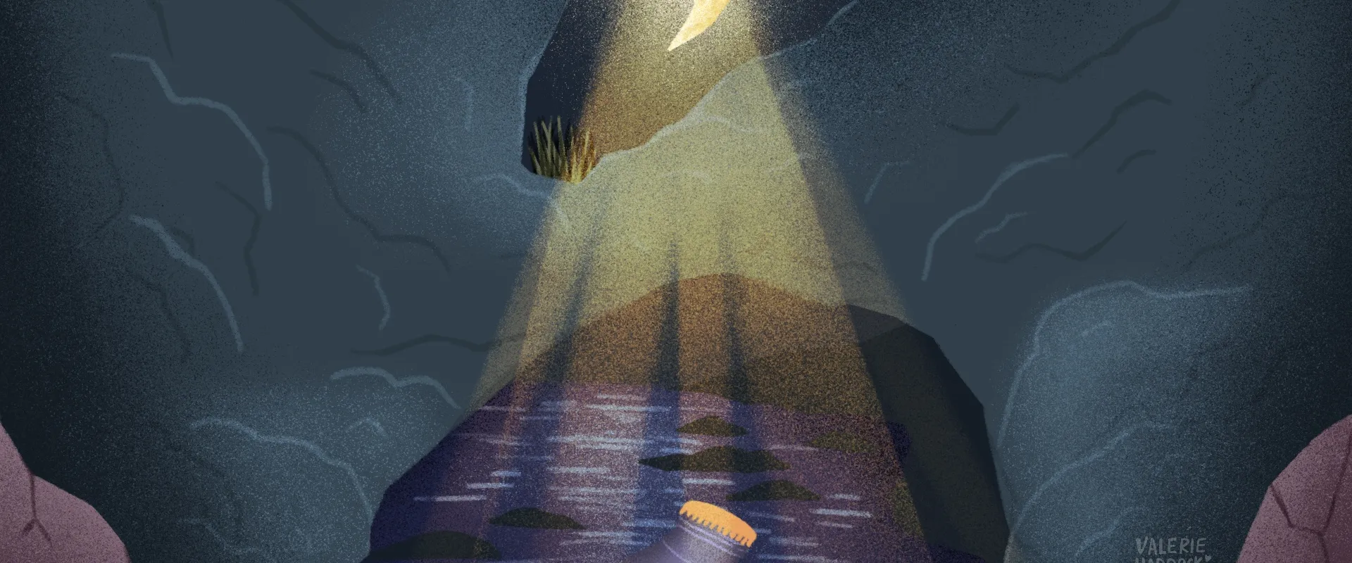 La Historia del Cobito_03