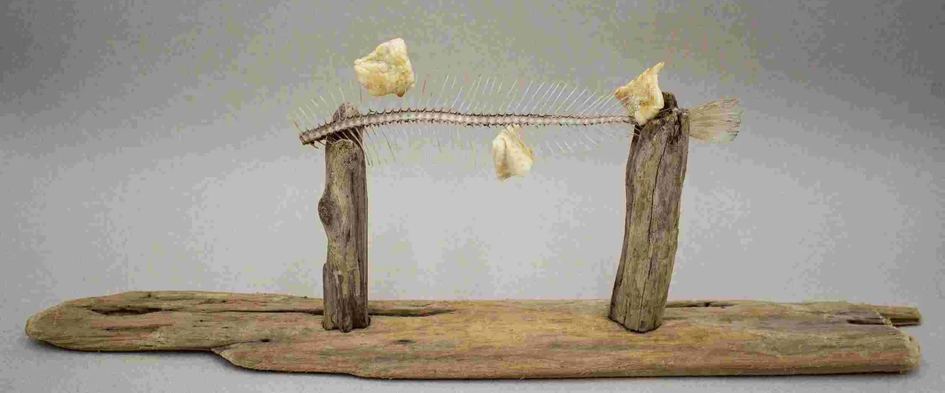 PROYECTO_TORNAR AL MAR