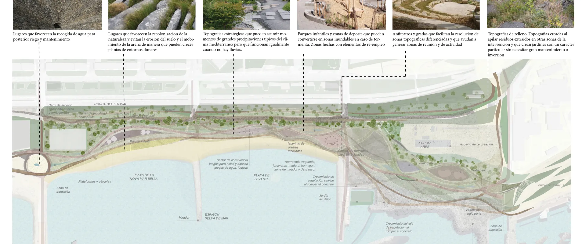 Renaturalización Parque Olas de la Mar Bella
