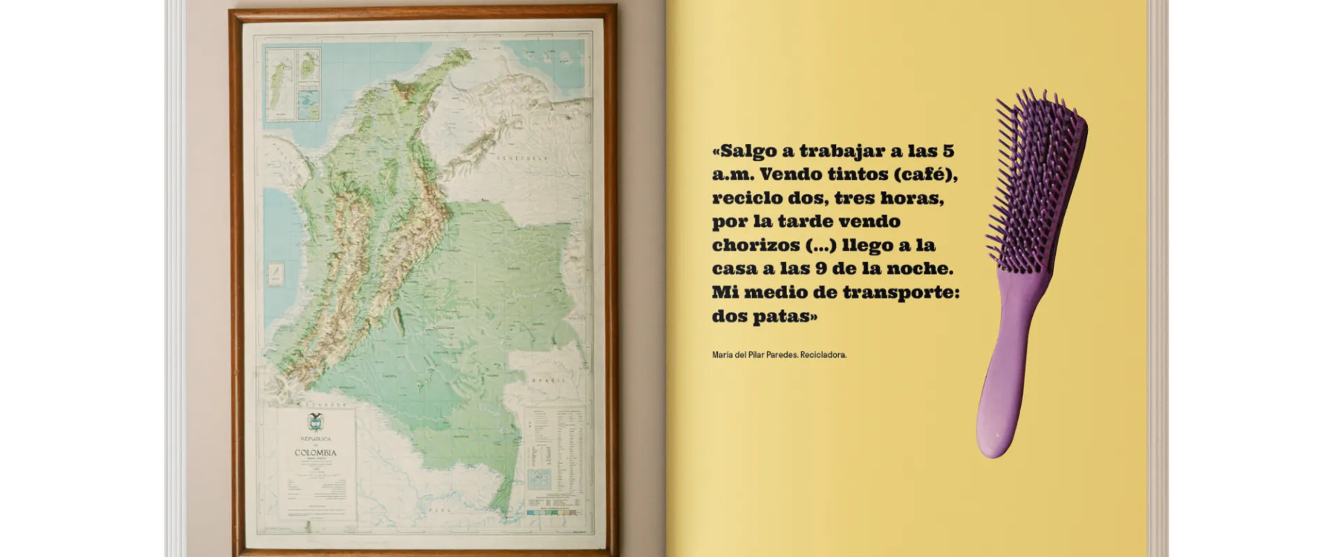 Tipologías de la desigualdad