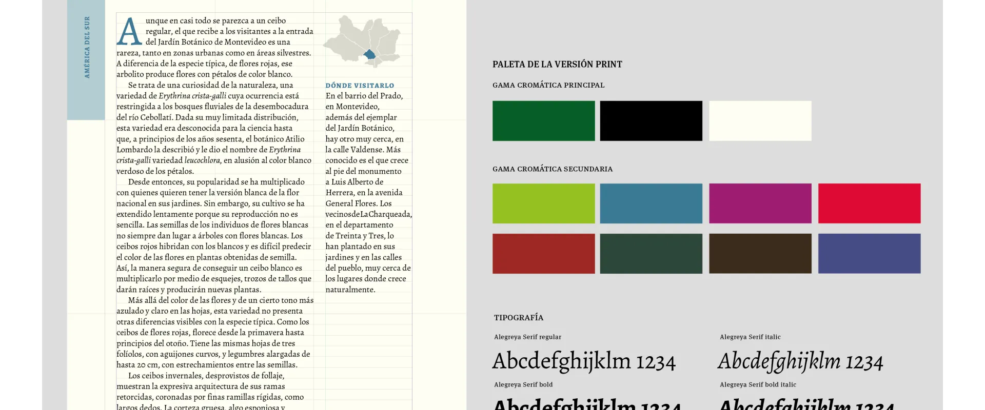 Árboles de Montevideo_02