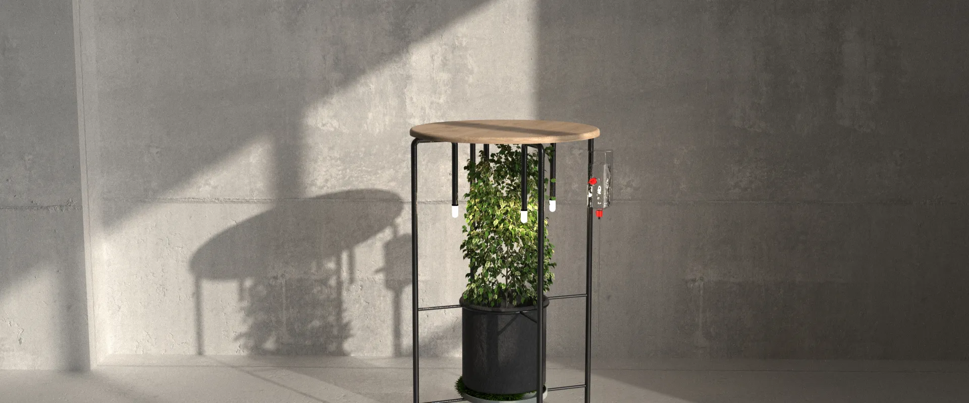 Sistema de Plantas Simbiótico_01