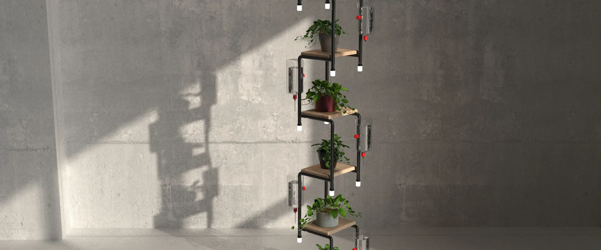 Sistema de Plantas Simbiótico_02