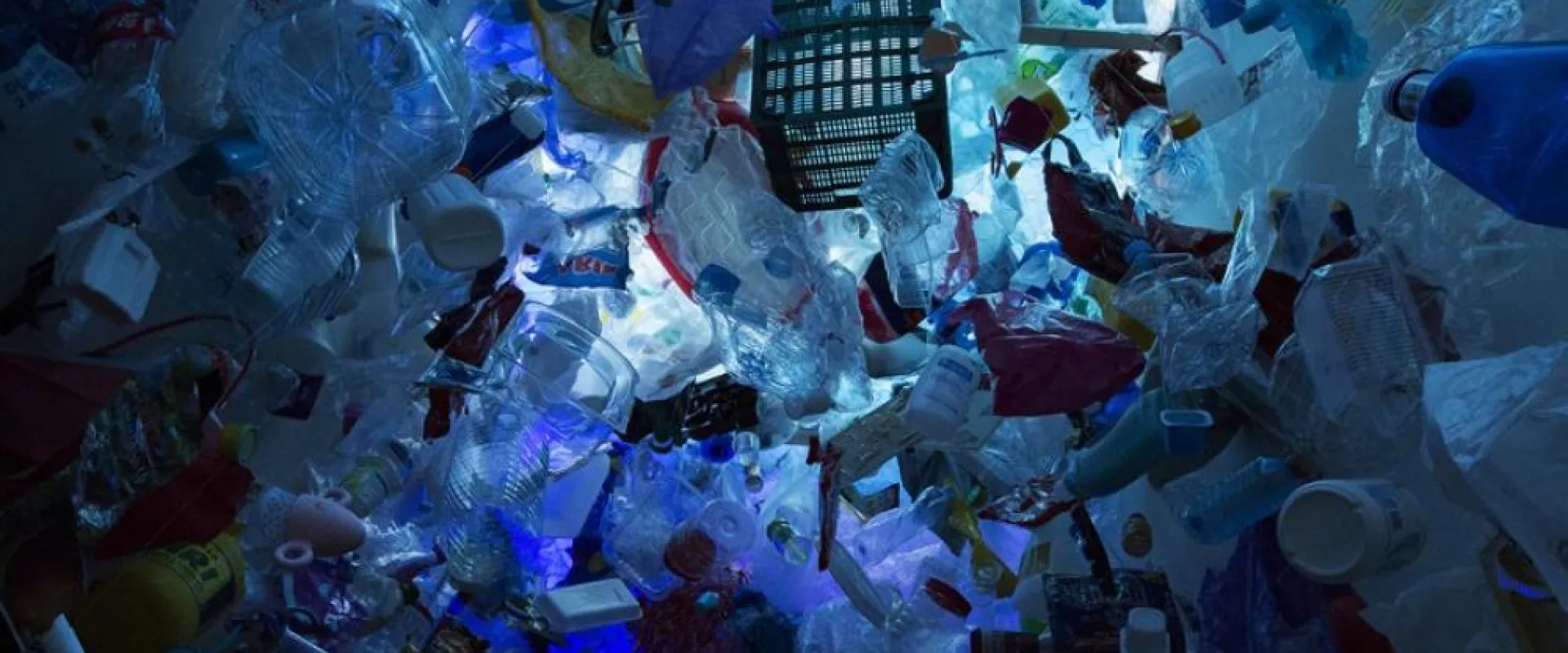 Exhibition - Núria Vila