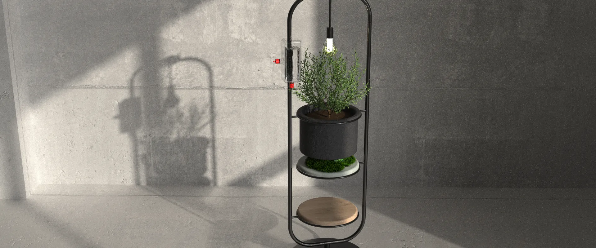 Sistema de Plantas Simbiótico_05