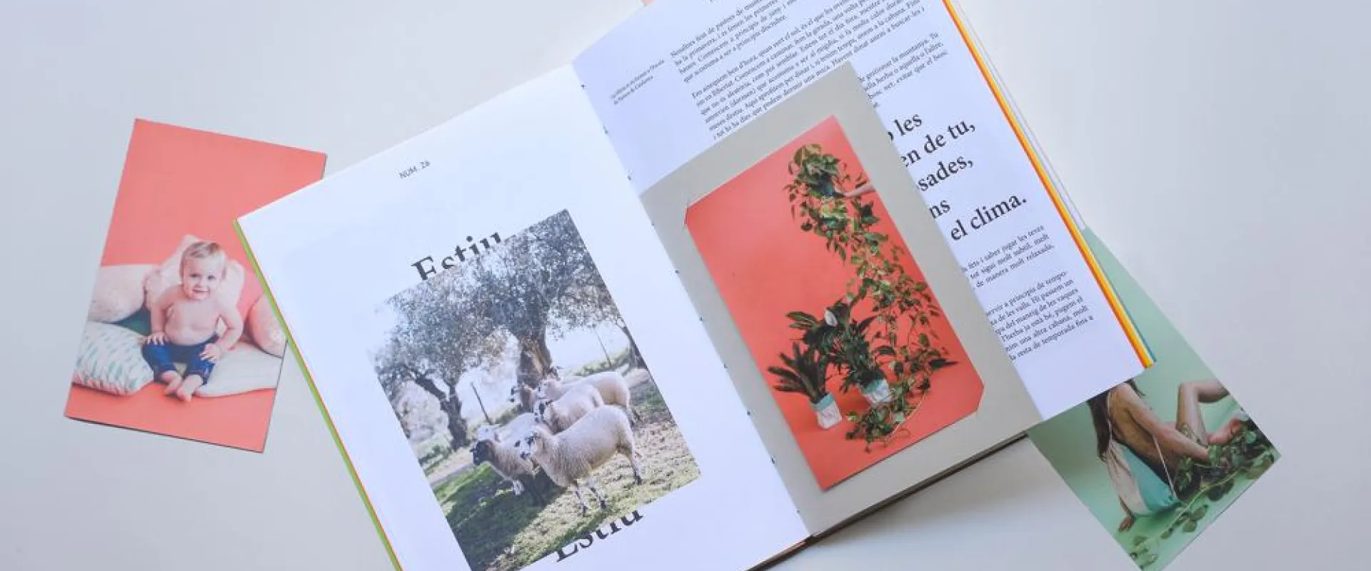 Kokorome - Núria Vila