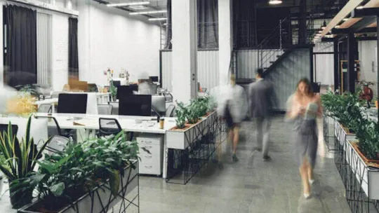 El diseño del espacio de trabajo y su relación con la productividad