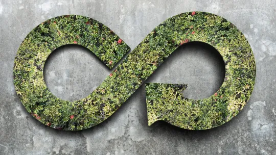 Descubre qué es el diseño circular y cómo aplicarlo en tu empresa
