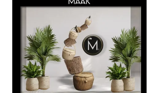 MÀAK: Fantasía y Organización