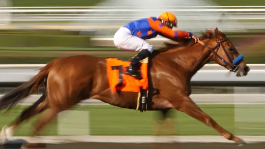 ¿En qué consiste el slow motion?