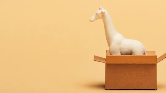 ¿Qué tipos de packaging existen?