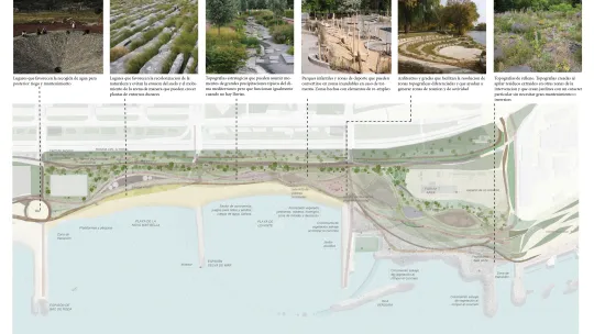 Renaturalización Parque Olas de la Mar Bella