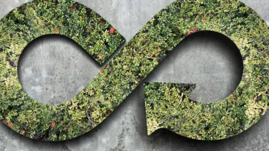 Descubre qué es el diseño circular y cómo aplicarlo en tu empresa