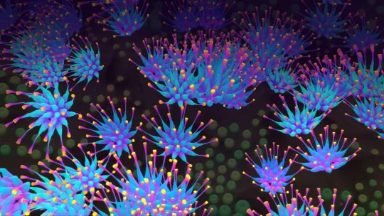 ¿Qué tienen en común la música, la ciencia y el arte visual?