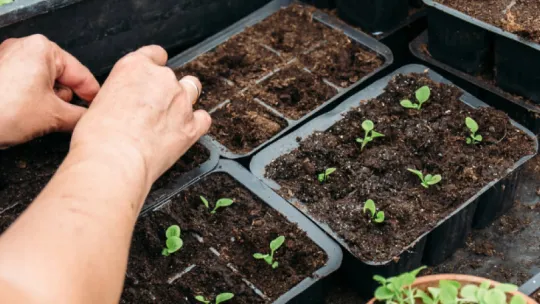 jardinería ecológica- 1.